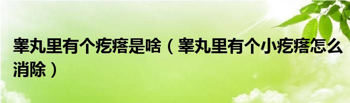 睪丸里有個疙瘩是啥（睪丸里有個小疙瘩怎么消除）