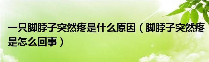 一只腳脖子突然疼是什么原因（腳脖子突然疼是怎么回事）