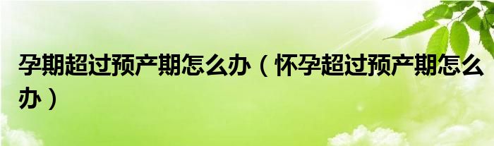 孕期超過預產(chǎn)期怎么辦（懷孕超過預產(chǎn)期怎么辦）