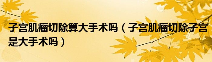 子宮肌瘤切除算大手術嗎（子宮肌瘤切除子宮是大手術嗎）