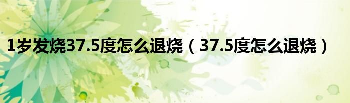 1歲發(fā)燒37.5度怎么退燒（37.5度怎么退燒）