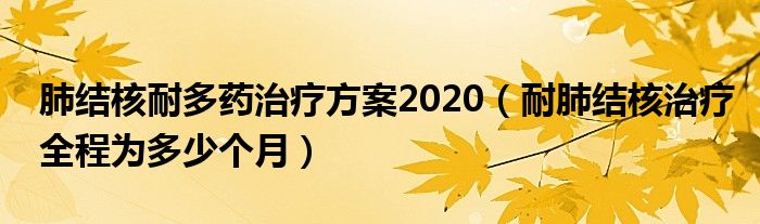 肺結(jié)核耐多藥治療方案2020（耐肺結(jié)核治療全程為多少個月）