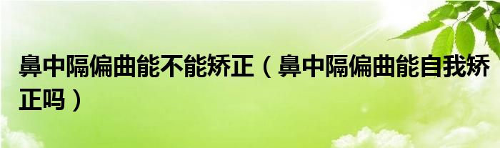 鼻中隔偏曲能不能矯正（鼻中隔偏曲能自我矯正嗎）