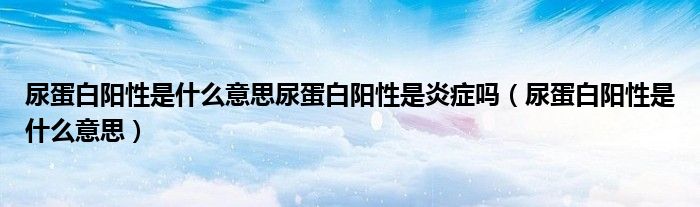 尿蛋白陽性是什么意思尿蛋白陽性是炎癥嗎（尿蛋白陽性是什么意思）