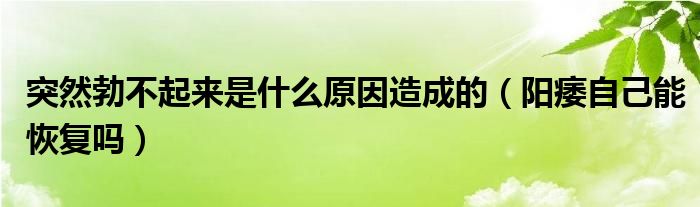 突然勃不起來是什么原因造成的（陽痿自己能恢復(fù)嗎）