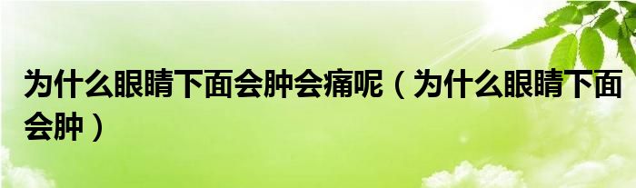 為什么眼睛下面會(huì)腫會(huì)痛呢（為什么眼睛下面會(huì)腫）