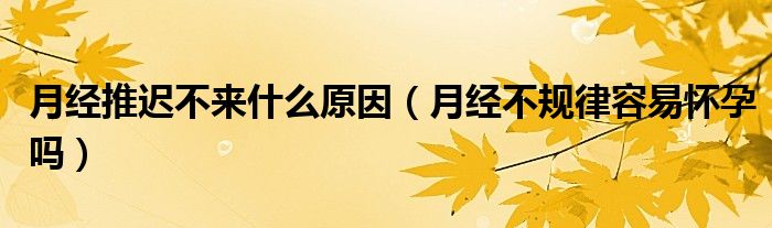 月經(jīng)推遲不來(lái)什么原因（月經(jīng)不規(guī)律容易懷孕嗎）