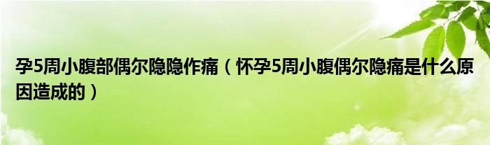 孕5周小腹部偶爾隱隱作痛（懷孕5周小腹偶爾隱痛是什么原因造成的）