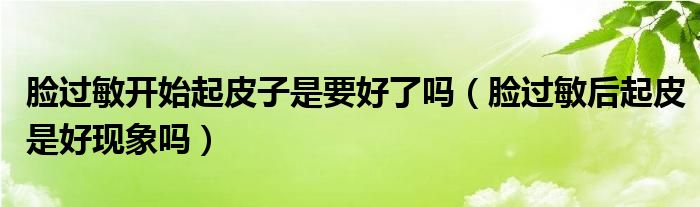 臉過(guò)敏開(kāi)始起皮子是要好了嗎（臉過(guò)敏后起皮是好現(xiàn)象嗎）