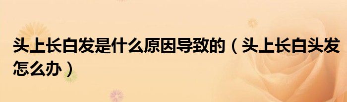 頭上長(zhǎng)白發(fā)是什么原因?qū)е碌模^上長(zhǎng)白頭發(fā)怎么辦）