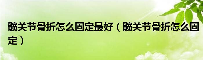 髖關(guān)節(jié)骨折怎么固定最好（髖關(guān)節(jié)骨折怎么固定）