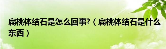 扁桃體結(jié)石是怎么回事?（扁桃體結(jié)石是什么東西）