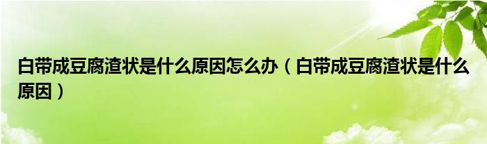 白帶成豆腐渣狀是什么原因怎么辦（白帶成豆腐渣狀是什么原因）