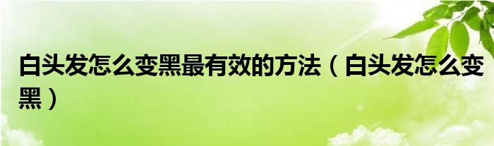 白頭發(fā)怎么變黑最有效的方法（白頭發(fā)怎么變黑）