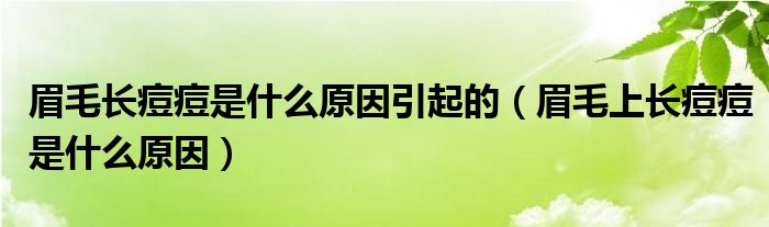 眉毛長痘痘是什么原因引起的（眉毛上長痘痘是什么原因）