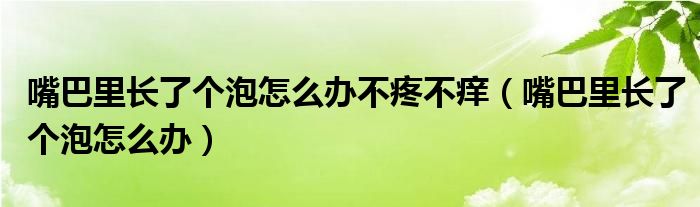 嘴巴里長了個(gè)泡怎么辦不疼不癢（嘴巴里長了個(gè)泡怎么辦）