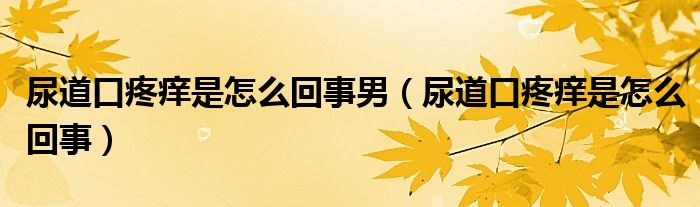 尿道口疼癢是怎么回事男（尿道口疼癢是怎么回事）