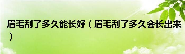 眉毛刮了多久能長好（眉毛刮了多久會長出來）