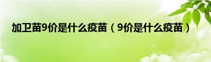 加衛(wèi)苗9價(jià)是什么疫苗（9價(jià)是什么疫苗）