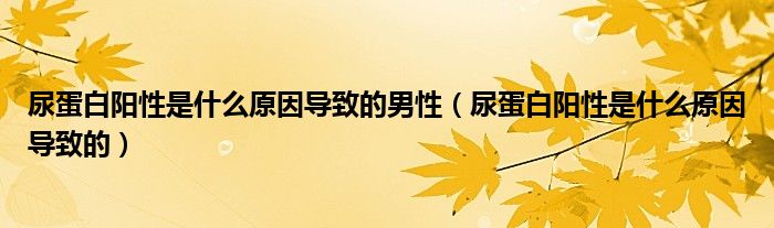 尿蛋白陽性是什么原因?qū)е碌哪行裕虻鞍钻栃允鞘裁丛驅(qū)е碌模?class='thumb lazy' /></a>
		    <header>
		<h2><a  href=