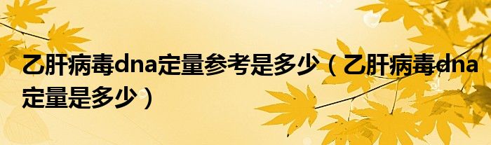 乙肝病毒dna定量參考是多少（乙肝病毒dna定量是多少）