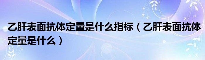 乙肝表面抗體定量是什么指標（乙肝表面抗體定量是什么）