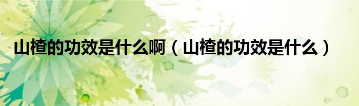 山楂的功效是什么?。ㄉ介墓π鞘裁矗?class='thumb lazy' /></a>
		    <header>
		<h2><a  href=