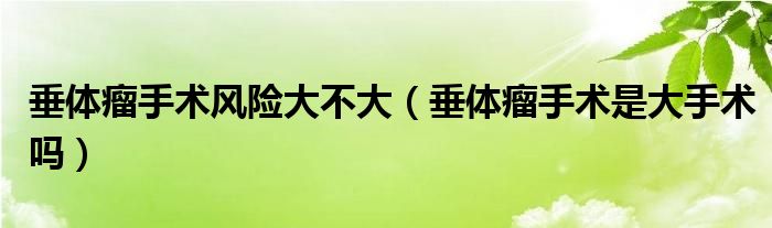 垂體瘤手術(shù)風(fēng)險(xiǎn)大不大（垂體瘤手術(shù)是大手術(shù)嗎）