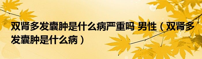 雙腎多發(fā)囊腫是什么病嚴重嗎 男性（雙腎多發(fā)囊腫是什么?。? /></span>
		<span id=