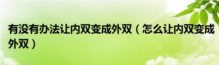 有沒有辦法讓內(nèi)雙變成外雙（怎么讓內(nèi)雙變成外雙）