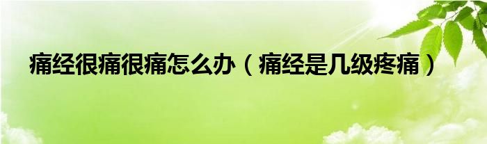 痛經(jīng)很痛很痛怎么辦（痛經(jīng)是幾級疼痛）