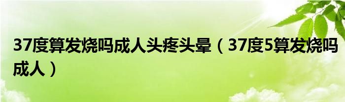 37度算發(fā)燒嗎成人頭疼頭暈（37度5算發(fā)燒嗎成人）