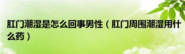 肛門潮濕是怎么回事男性（肛門周圍潮濕用什么藥）