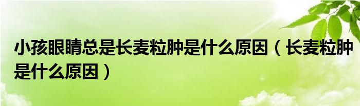 小孩眼睛總是長麥粒腫是什么原因（長麥粒腫是什么原因）