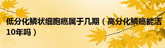 低分化鱗狀細胞癌屬于幾期（高分化鱗癌能活10年嗎）