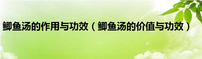 鯽魚(yú)湯的作用與功效（鯽魚(yú)湯的價(jià)值與功效）