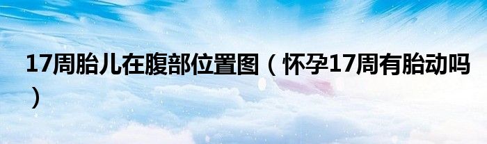 17周胎兒在腹部位置圖（懷孕17周有胎動嗎）