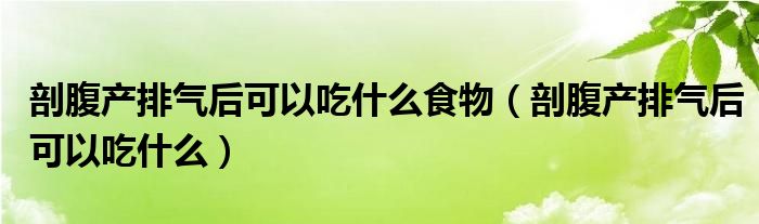 剖腹產(chǎn)排氣后可以吃什么食物（剖腹產(chǎn)排氣后可以吃什么）