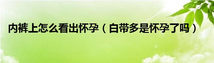 內褲上怎么看出懷孕（白帶多是懷孕了嗎）