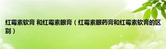 紅霉素軟膏 和紅霉素眼膏（紅霉素眼藥膏和紅霉素軟膏的區(qū)別）