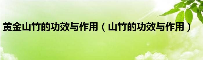 黃金山竹的功效與作用（山竹的功效與作用）