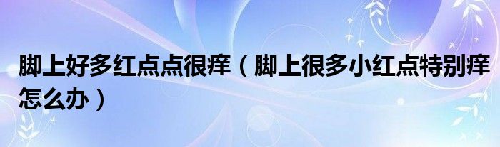 腳上好多紅點(diǎn)點(diǎn)很癢（腳上很多小紅點(diǎn)特別癢怎么辦）