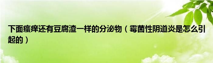 下面瘙癢還有豆腐渣一樣的分泌物（霉菌性陰道炎是怎么引起的）