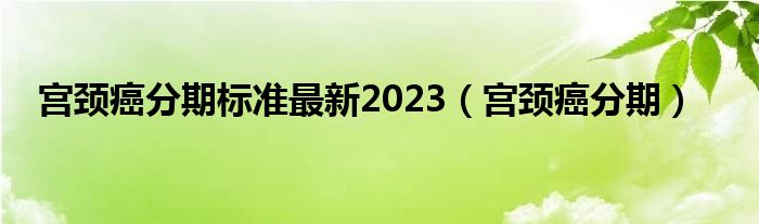 宮頸癌分期標準最新2023（宮頸癌分期）