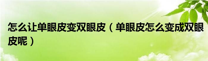 怎么讓單眼皮變雙眼皮（單眼皮怎么變成雙眼皮呢）