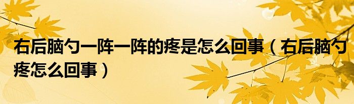 右后腦勺一陣一陣的疼是怎么回事（右后腦勺疼怎么回事）