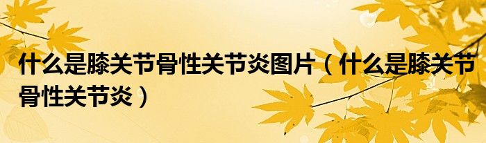 什么是膝關節(jié)骨性關節(jié)炎圖片（什么是膝關節(jié)骨性關節(jié)炎）