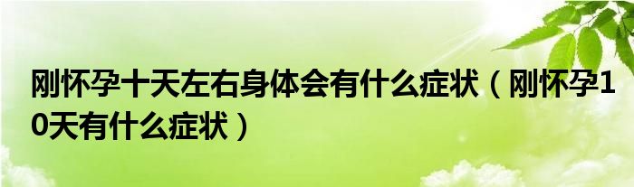 剛懷孕十天左右身體會(huì)有什么癥狀（剛懷孕10天有什么癥狀）