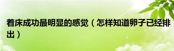 著床成功最明顯的感覺(jué)（怎樣知道卵子已經(jīng)排出）