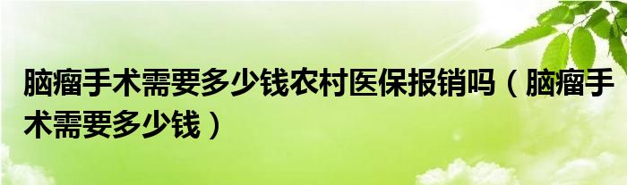 腦瘤手術(shù)需要多少錢農(nóng)村醫(yī)保報銷嗎（腦瘤手術(shù)需要多少錢）